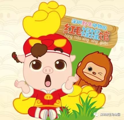 猪猪侠进入熊出没世界,猪猪侠限量金猪