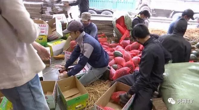 东盟水果蔬菜市场,东盟水果交易市场榴莲批发