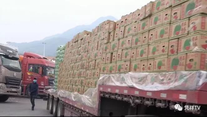 东盟水果蔬菜市场,东盟水果交易市场榴莲批发