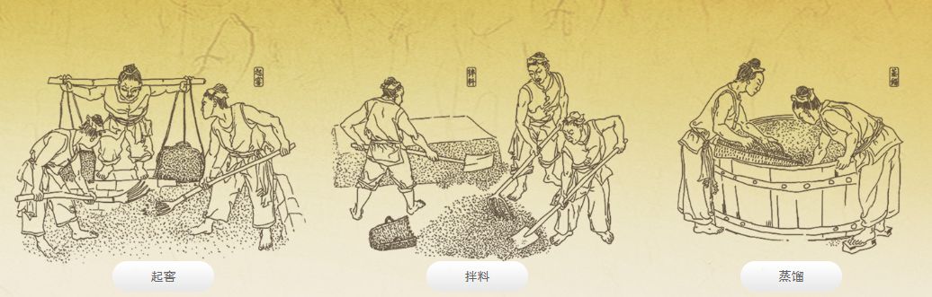 浓香鼻祖是什么酒,浓香鼻祖是谁