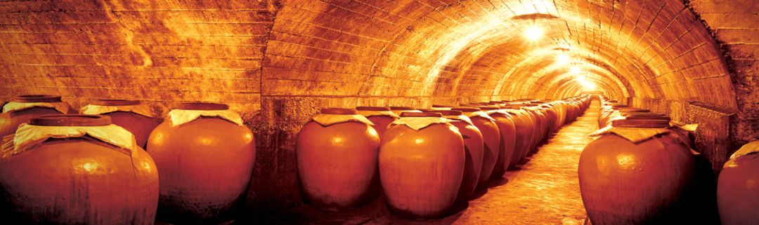 浓香鼻祖是什么酒,浓香鼻祖是谁