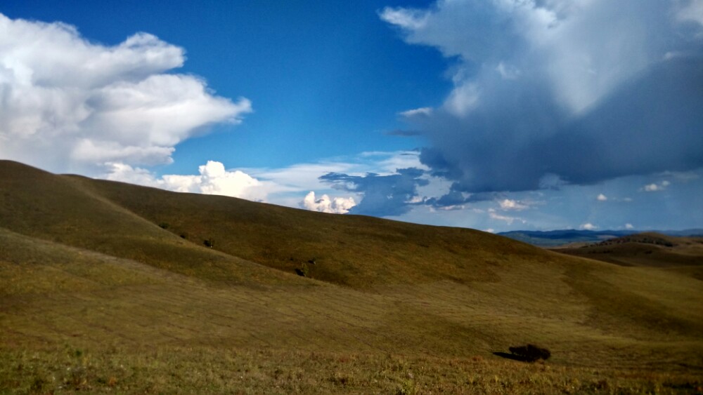 赤峰红山文化怎么发现的,赤峰红山文化出土文物