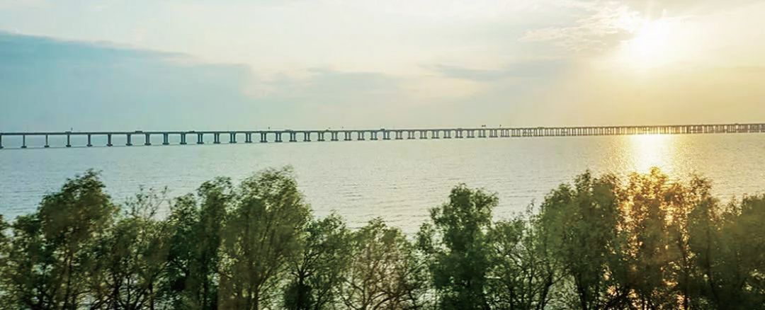 坐地铁去深圳旅游攻略路线,深圳一日游详细攻略大全最新