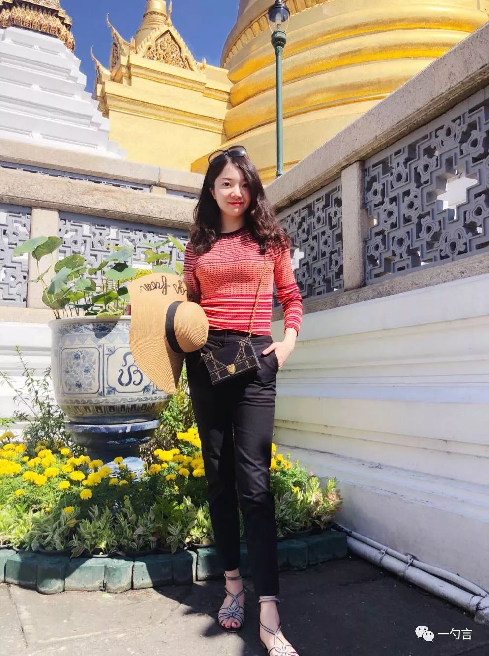 董小姐的日常发言,董小姐回应粉丝