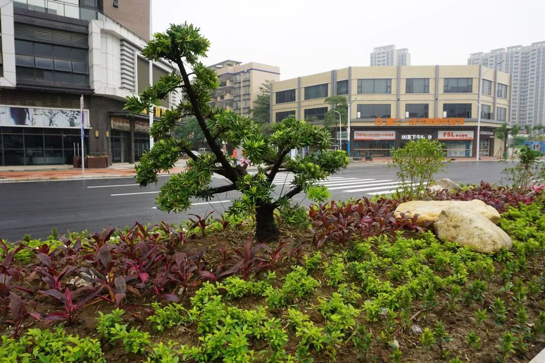 妇幼民生实事项目有哪些,妇幼民生实事项目有哪些内容