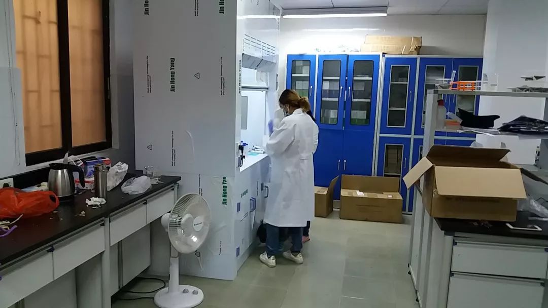 妇幼民生实事项目有哪些,妇幼民生实事项目有哪些内容