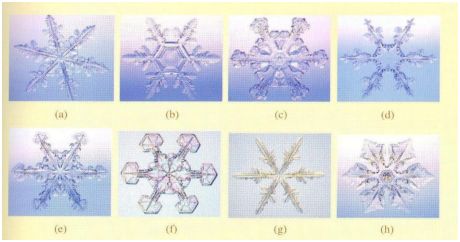雪为什么是白色的看图写话,雪为什么白色不透明