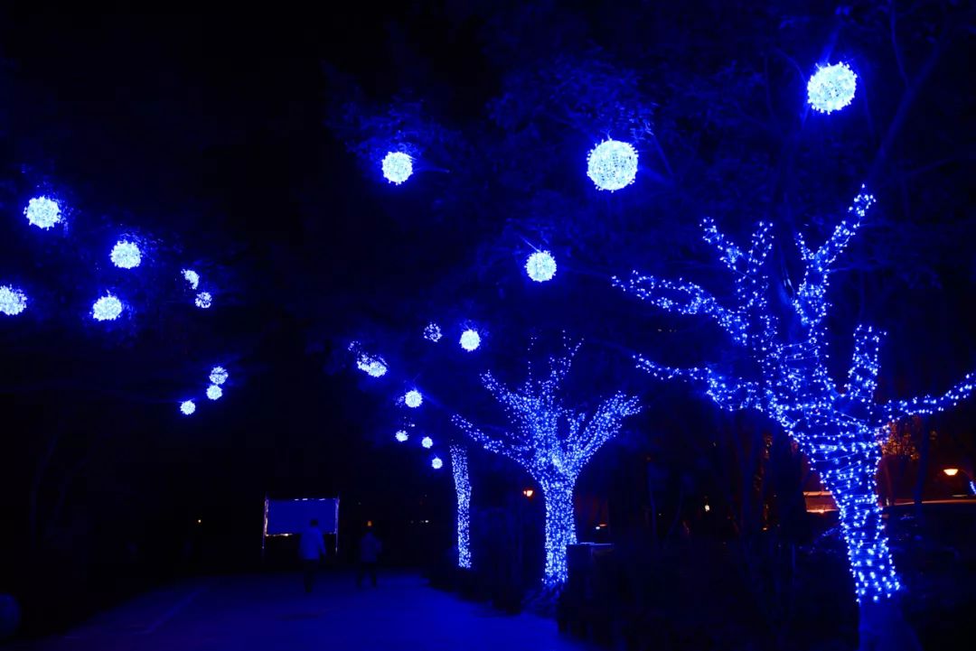 番禺夜景好玩的地方,广州增城网红打卡地夜景