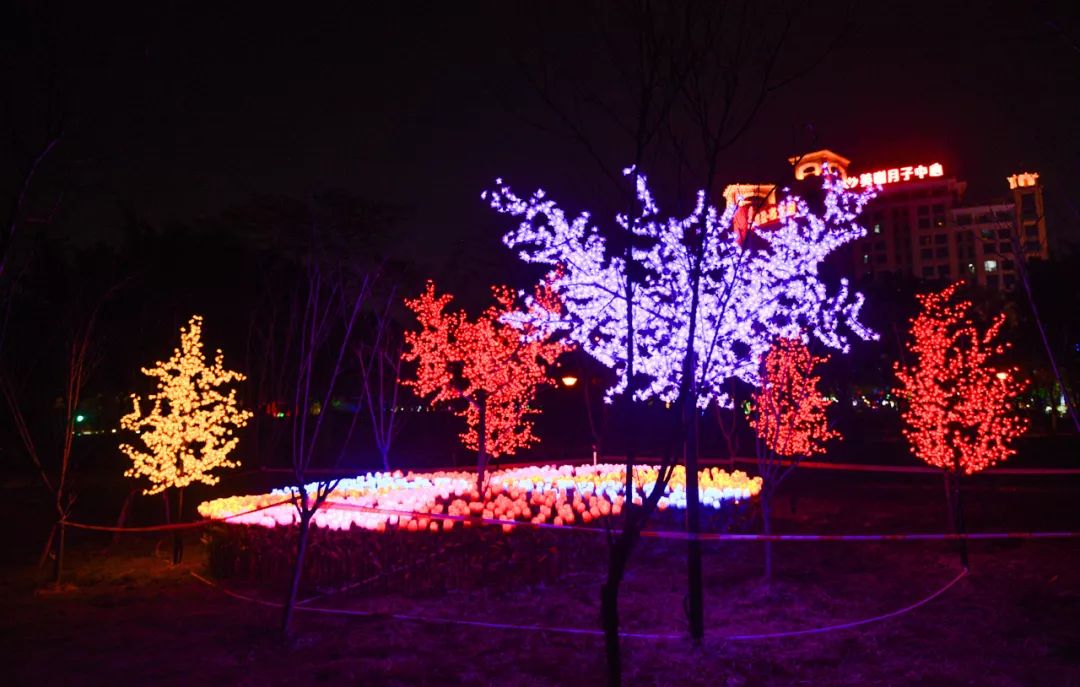 番禺夜景好玩的地方,广州增城网红打卡地夜景
