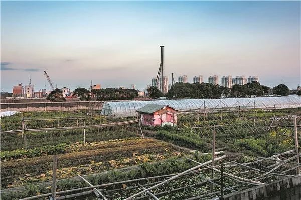 台州三门最美古村,三门县最美古村