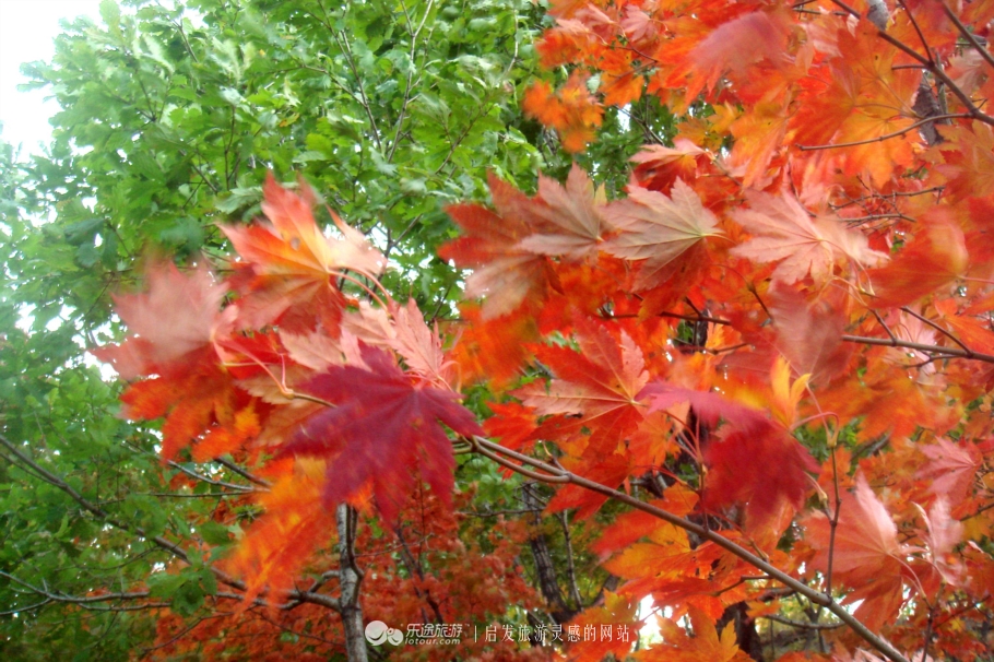 本溪市有名的画家,本溪桓仁画家村