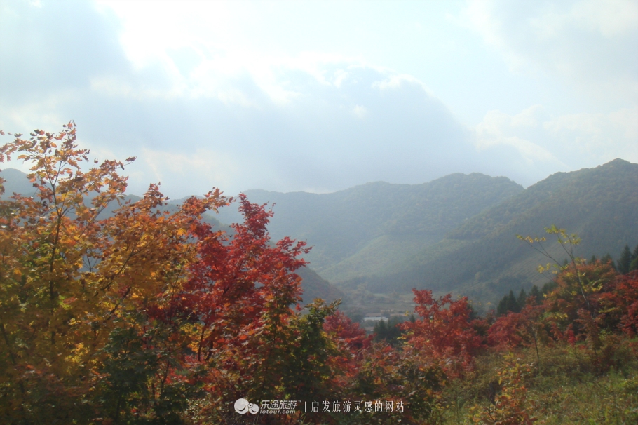 本溪市有名的画家,本溪桓仁画家村