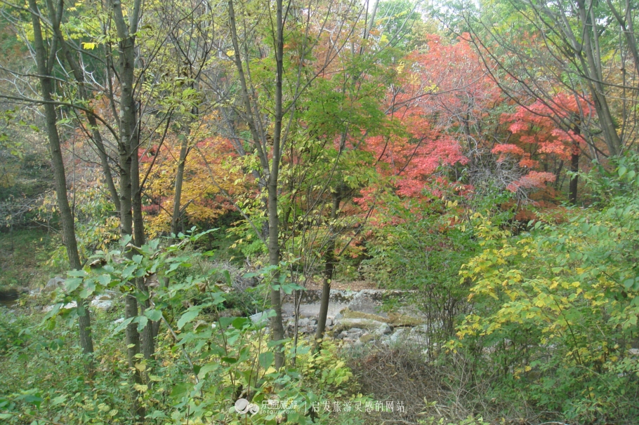 本溪市有名的画家,本溪桓仁画家村