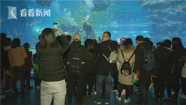 海昌极地水下舞龙拜年,海昌极地海洋公园水下舞龙
