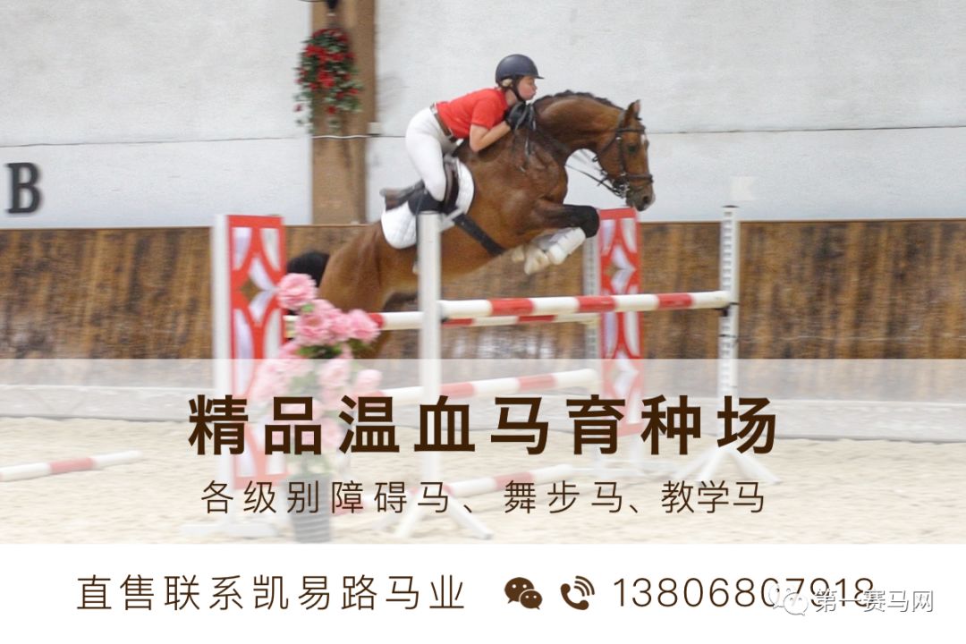 莱德马业,莱德马业新西兰公司