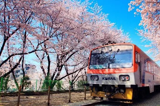 中国银行卡余额为零是什么意思,南京银行卡余额不足