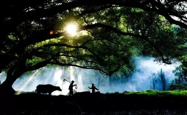 假照片有哪些骗局,那些假照片的背后