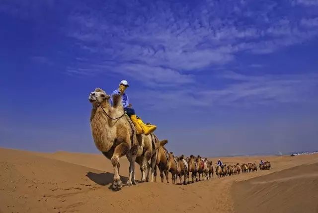 假照片有哪些骗局,那些假照片的背后