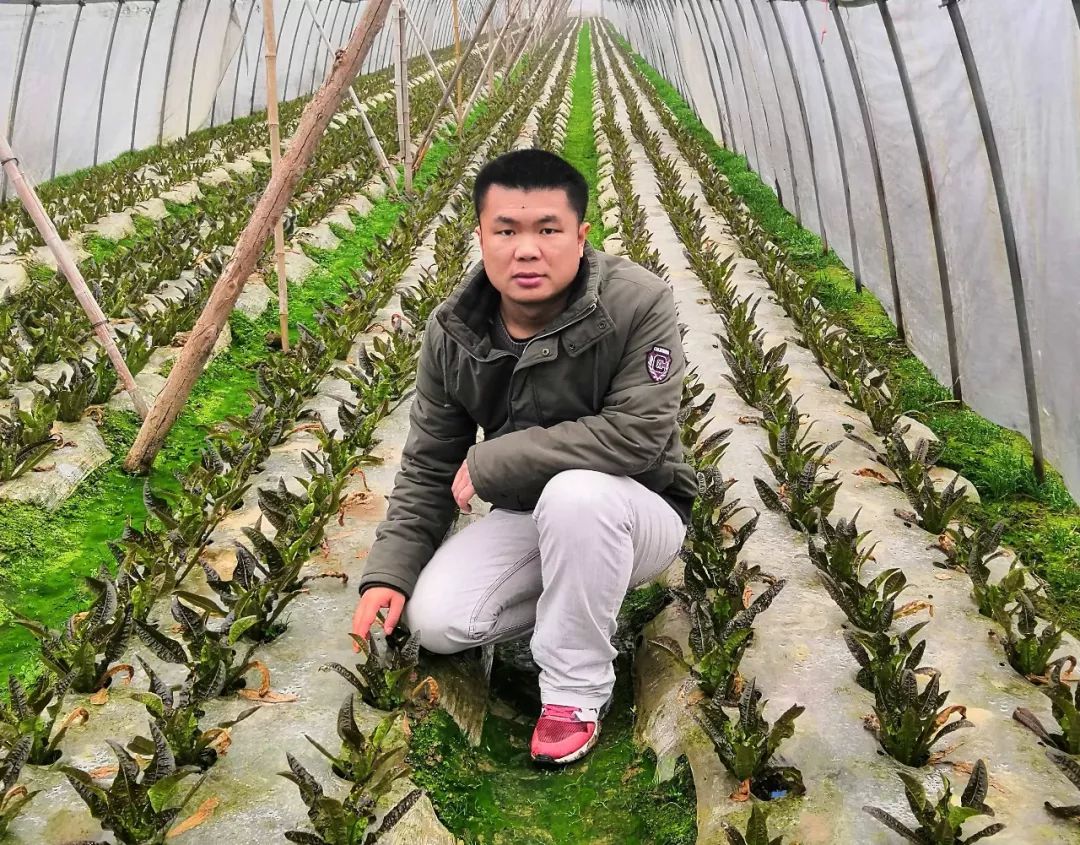 诺普信员工有过分红情况吗,诺普信农化股份有限公司入职条件