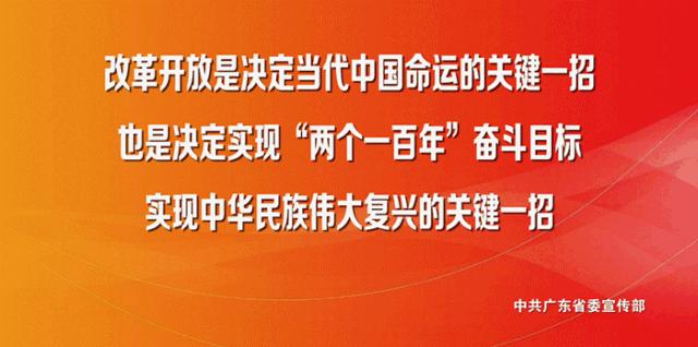 灯湖六小是第一梯队,灯湖六小航拍