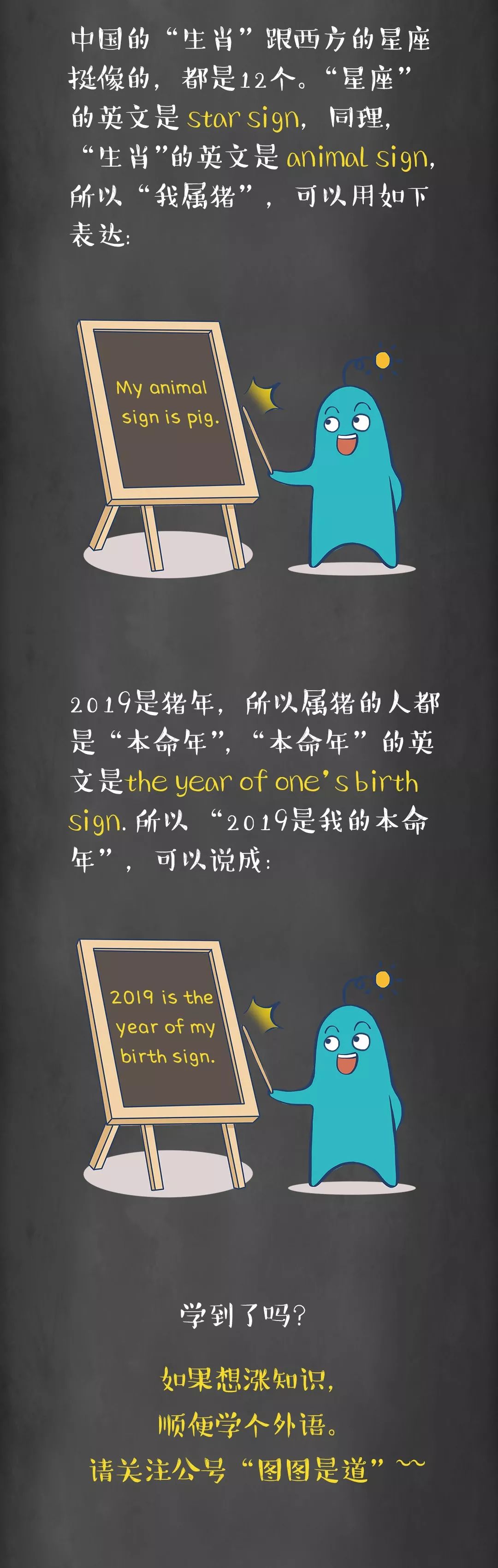 “我属猪”千万别说成I’mapig!丨图图是道