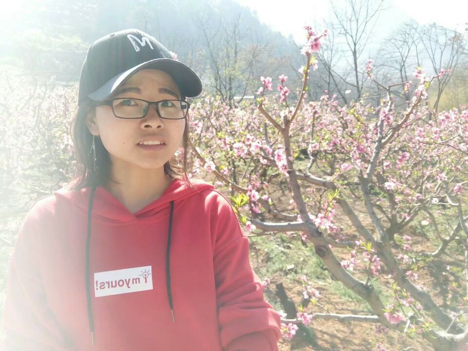 鏍″洯涔嬫槦鍔卞織鎰熻█,鏍″洯鍔卞織涔嬫槦