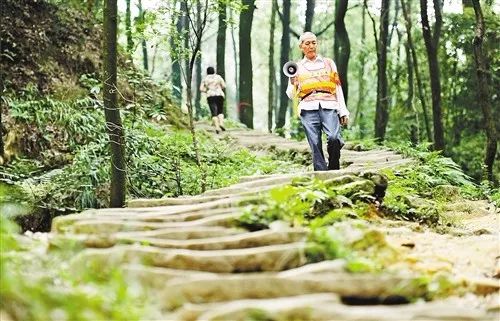 马关县山火民警奋力扑救,各地山火扑救情况