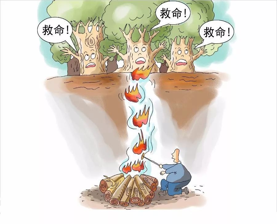 马关县山火民警奋力扑救,各地山火扑救情况