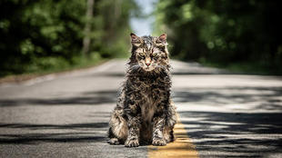 2019年超级碗全场,2019年超级碗2月4日决赛录像