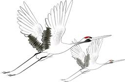 “泰”舒服了!听说,和冬天更配的“宜游之城”就在这儿!温泉水暖、古镇飘香…是时候来场冬季泰州行啦