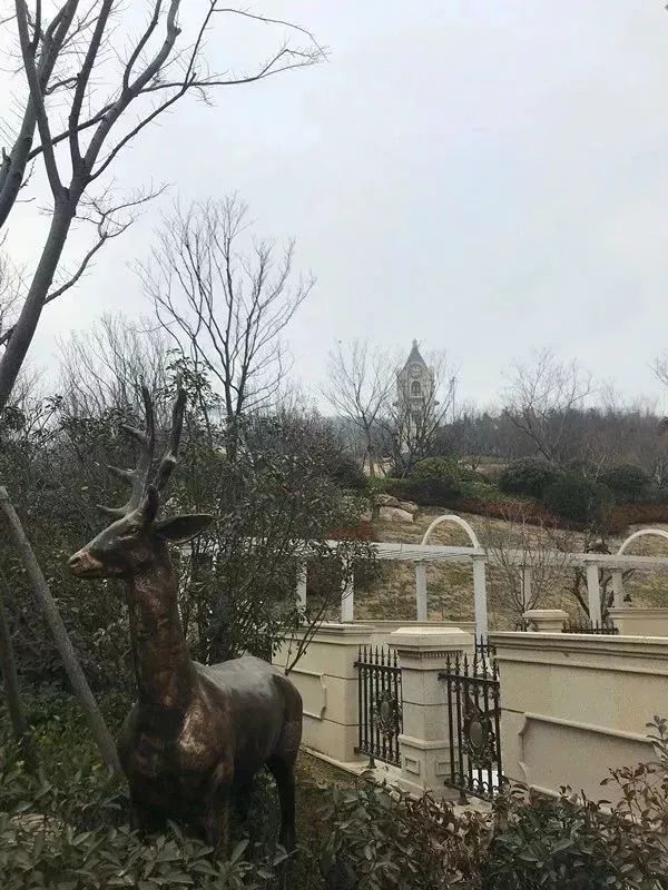 崂山海尔波尔多小镇,海尔波尔多小镇问题