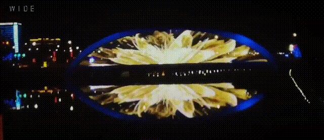 新宠驾到视频大全,新宠驾到完整视频