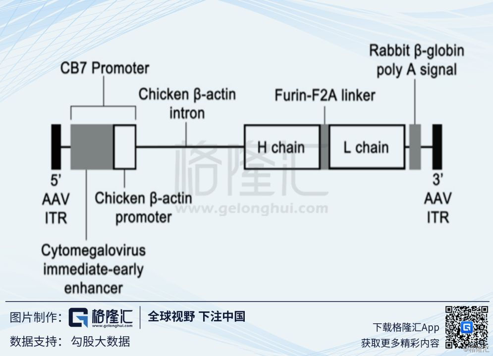 Regenxbio(RGNX.O:基因治疗界新秀崭露头角