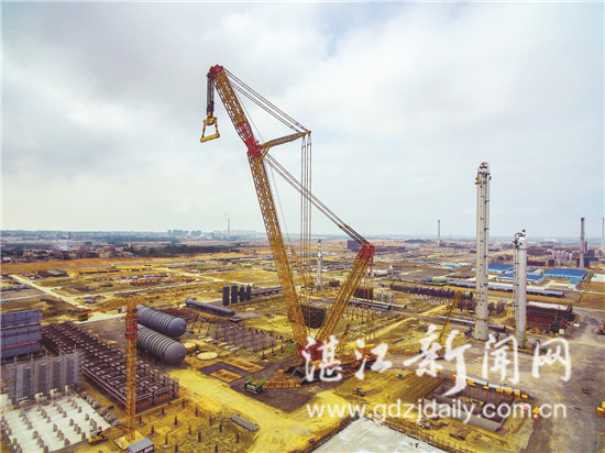 领跑湛江服务,领跑发展趋势分析