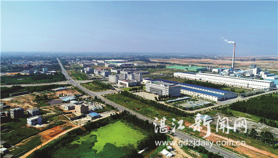 领跑湛江服务,领跑发展趋势分析