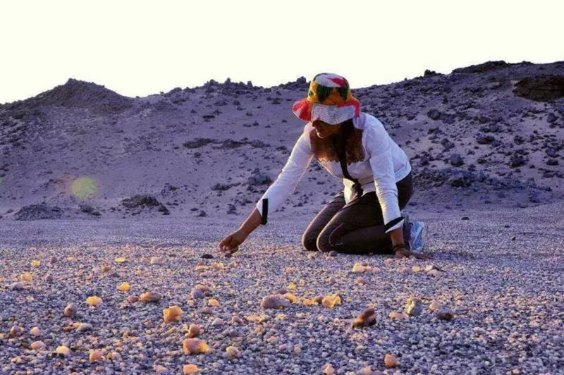 巴彦淖尔2日游旅游推荐,巴彦淖尔春节自驾游旅游攻略