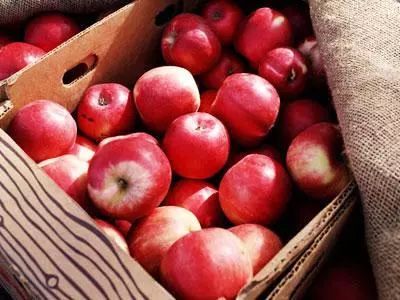 车厘子最近要涨价吗,车厘子涨价2020