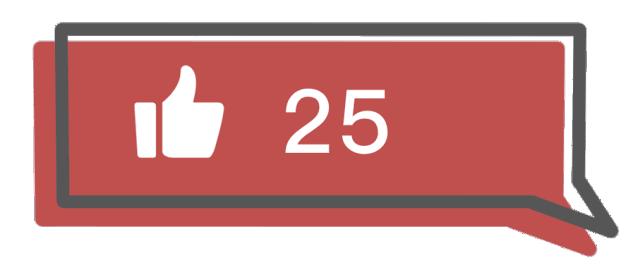 划片入学金山区,划片金山小学和金山中学