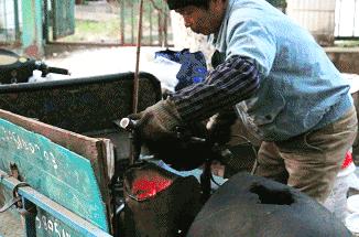 从南钢到扬子的距离，是大厂人一日三餐的味道