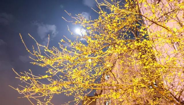 从南钢到扬子的距离，是大厂人一日三餐的味道