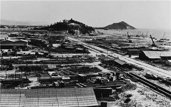 奇特深圳:劣势即优势新生代力量正在集结