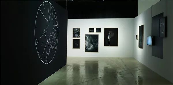 奇特深圳:劣势即优势新生代力量正在集结