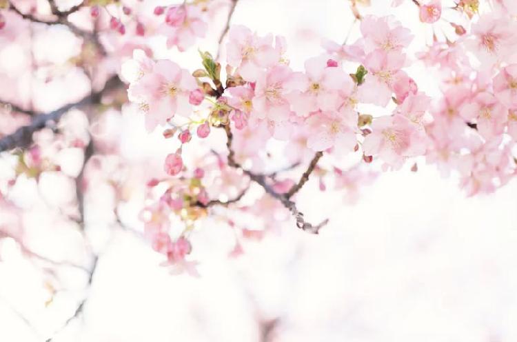 2057年除夕逢立春,2057年哪天立春