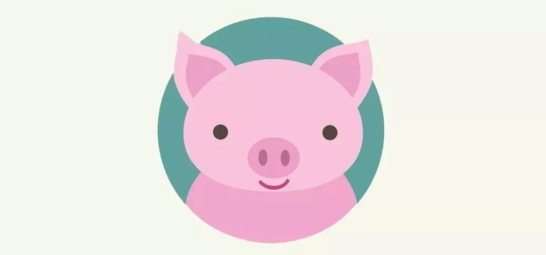 麦玲玲猪年十二生肖运程,麦玲玲2019属猴运程