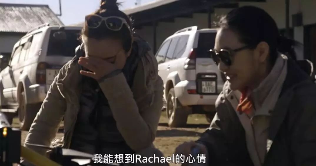 过年了,我们把这些私藏真爱送给你