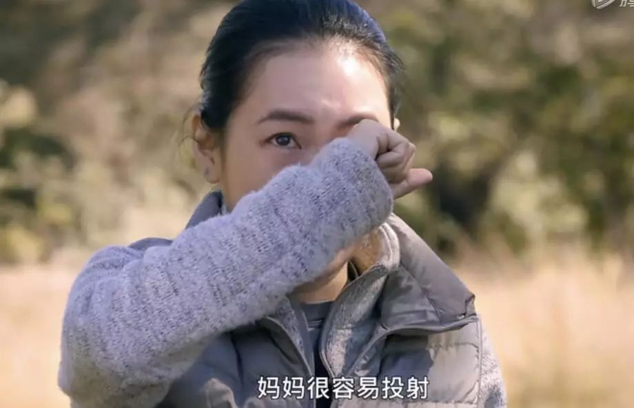 过年了,我们把这些私藏真爱送给你