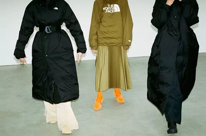 thenorthface外观,thenorthface复刻