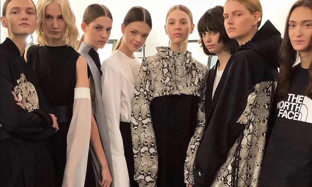 thenorthface外观,thenorthface复刻