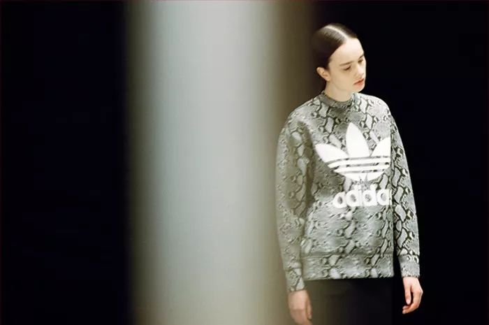 thenorthface外观,thenorthface复刻