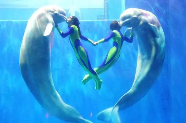 哈尔滨附近好玩的景点排名,哈尔滨周边冬季必去景点